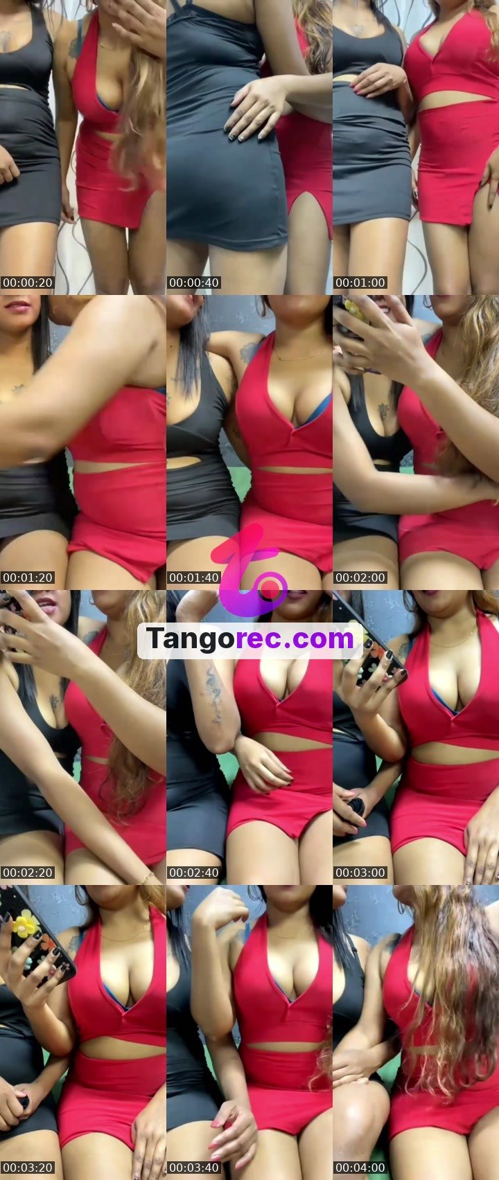 @cipherfox-588363 Tango live from 2026-09-24