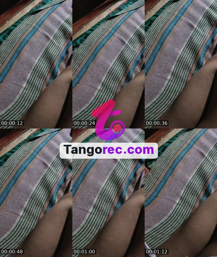 @action-hippo-303474 Tango live from 2026-09-24