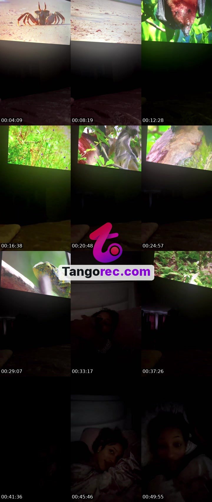 @juicyjemjem Tango live from 2026-09-24