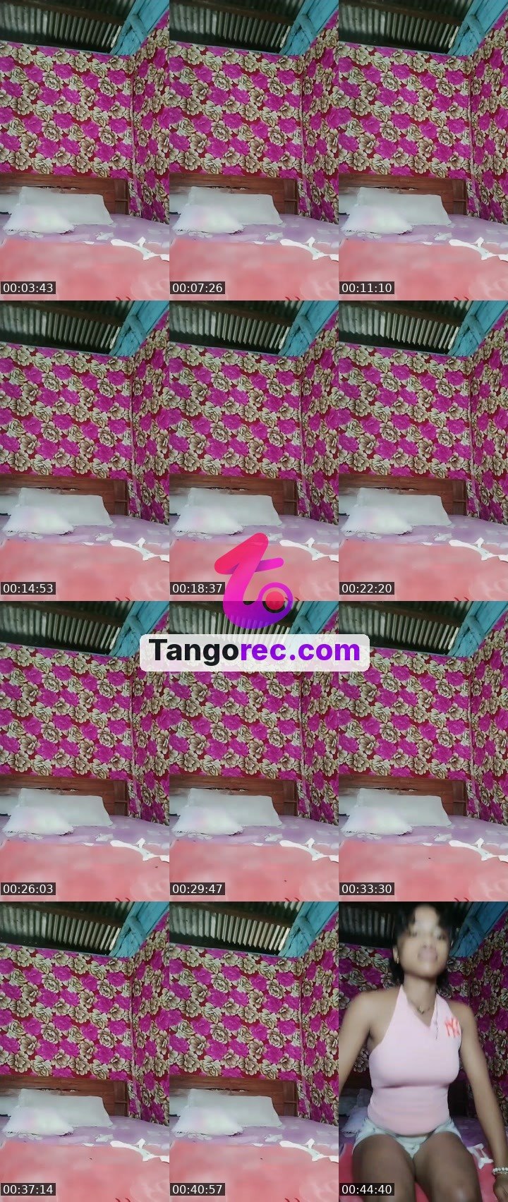 @gloriousrhino-86019 Tango live from 2026-09-24