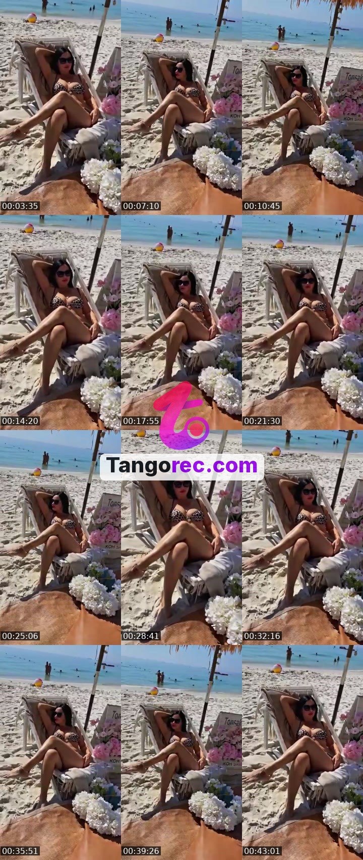 @alexandrao4o4 Tango live from 2026-09-24