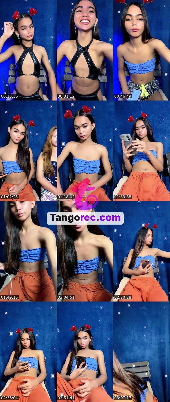 @steelstallion-603493 Tango live from 2026-09-24
