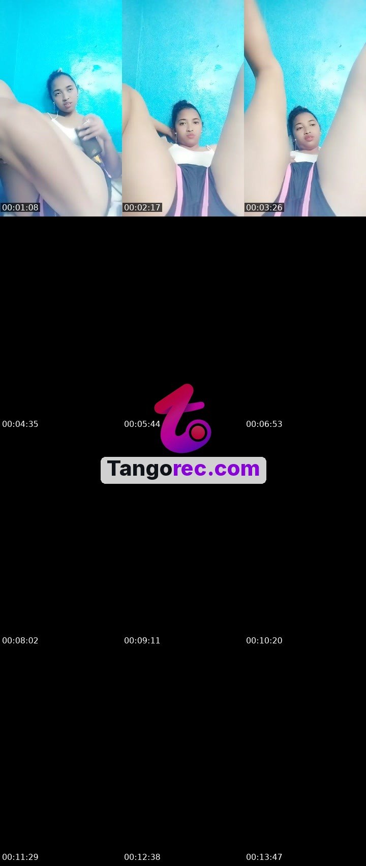 @shogun-falcon-246367 Tango live from 2026-09-24