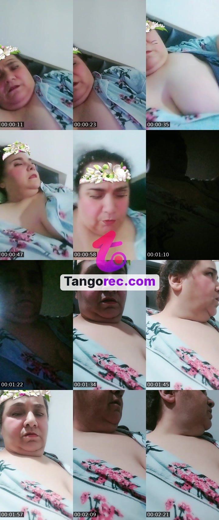 @zingollulu Tango live from 2026-09-24