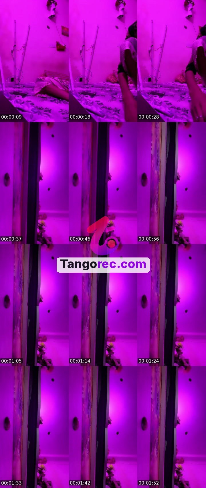 @fly-sona-69940 Tango live from 2026-09-24