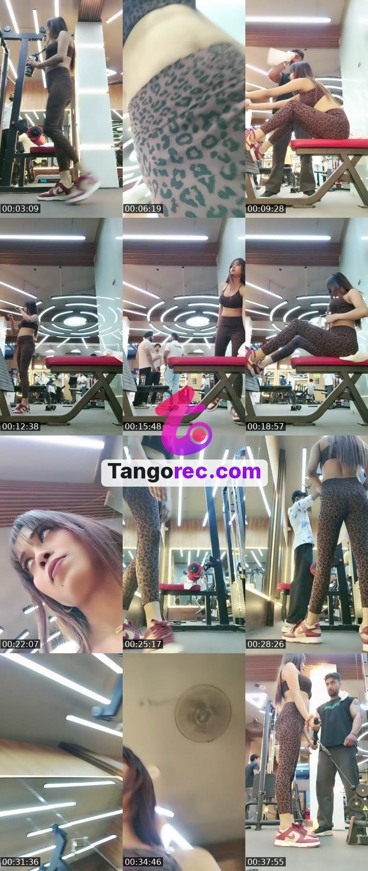 @viby557 Tango live from 2026-09-24