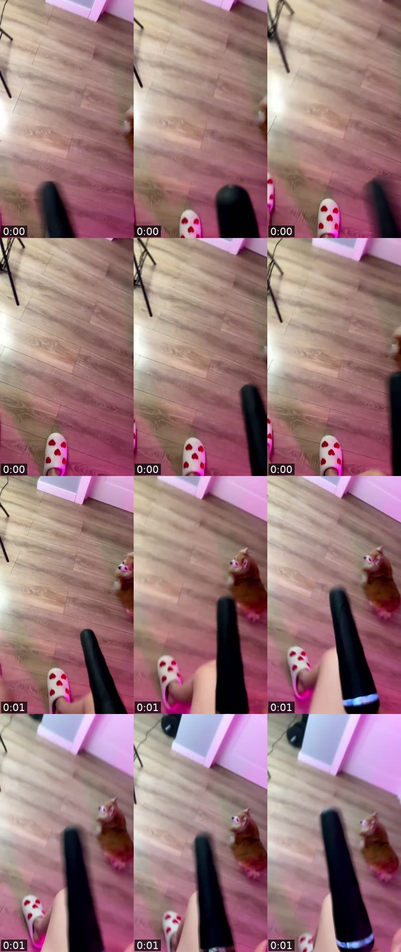 @miacandygirlmya Tango LIVE