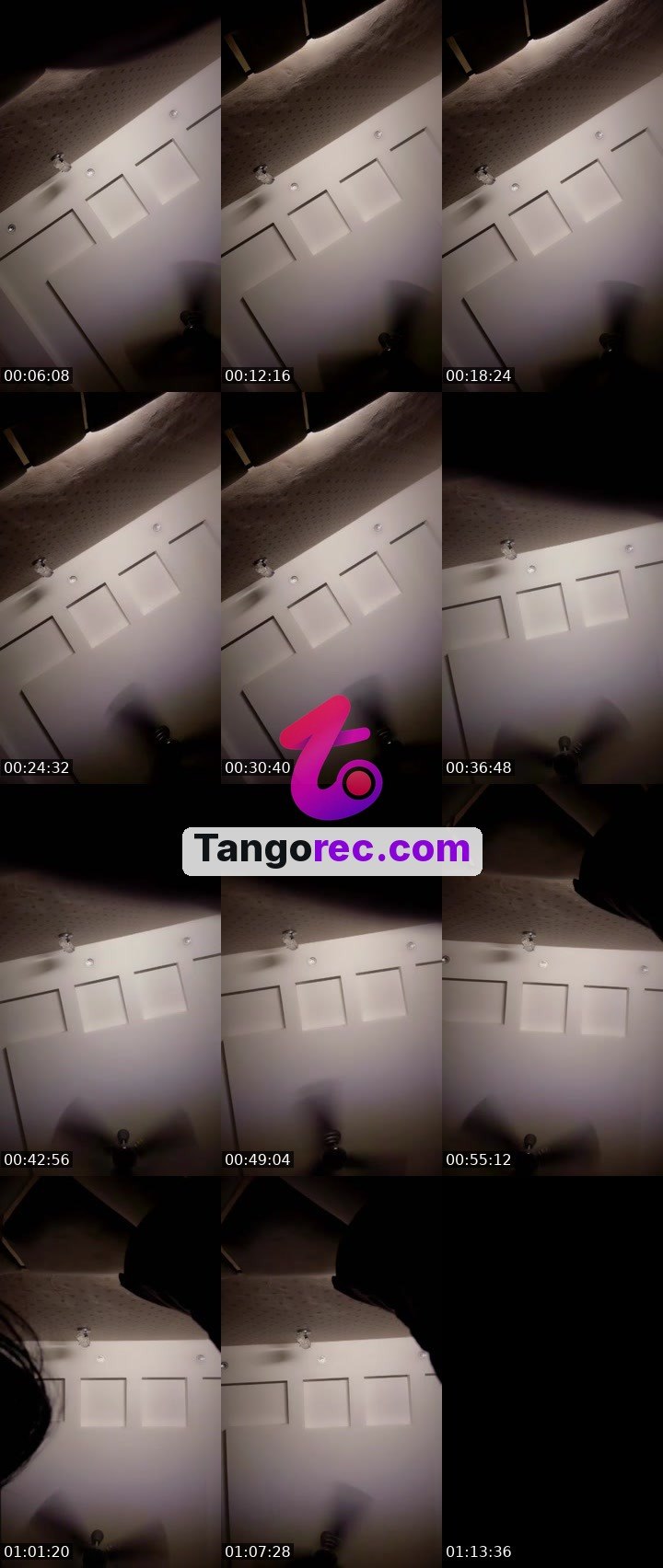 @noah000 Tango live from 2026-09-24