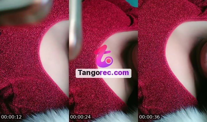 @fancy-boar-599182 Tango live from 2026-09-25