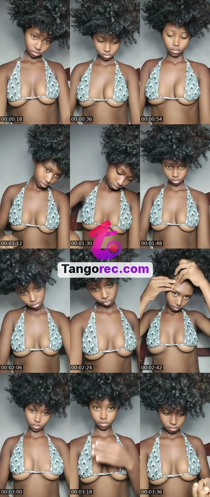@iron-bull-268448 Tango live from 2026-09-25