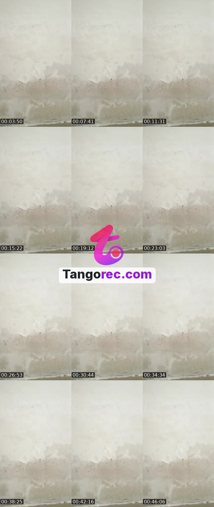 @kind-crocodile-77189 Tango live from 2026-09-25