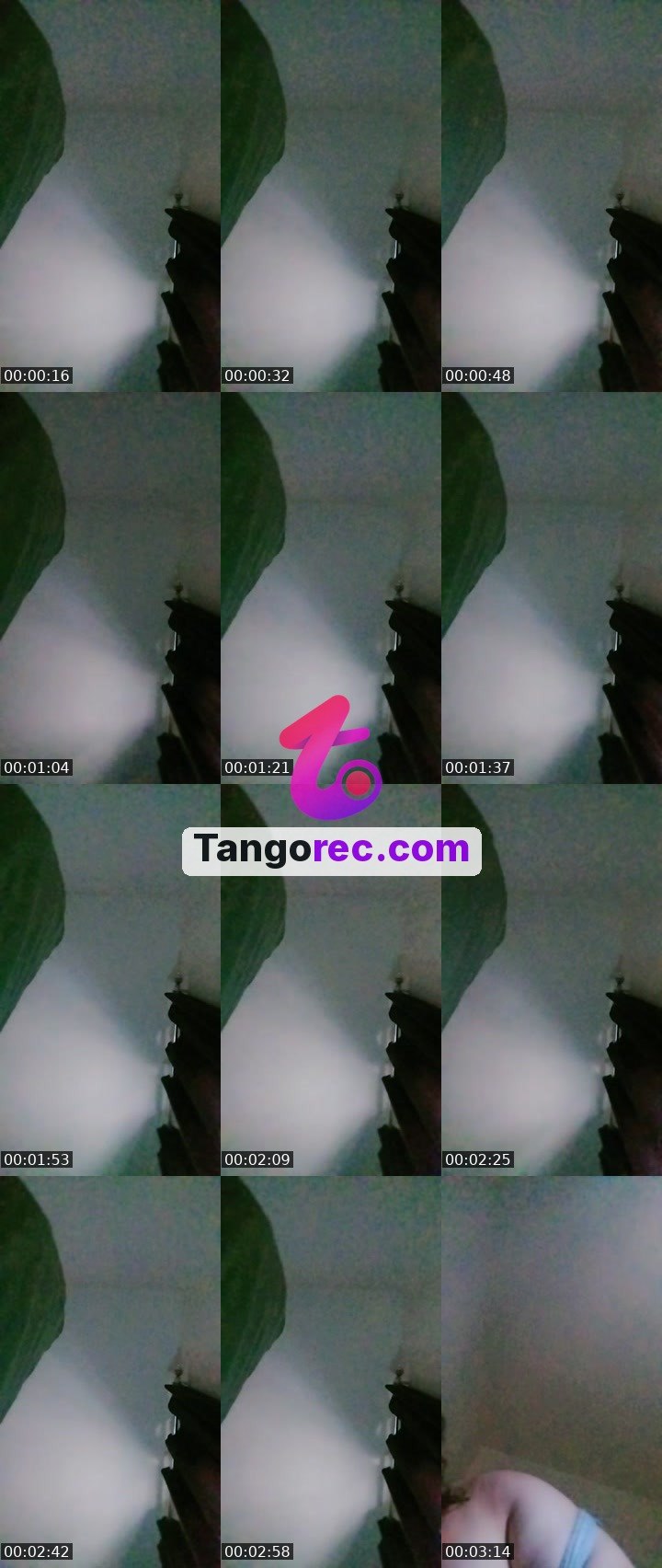 @zingollulu Tango live from 2026-09-25