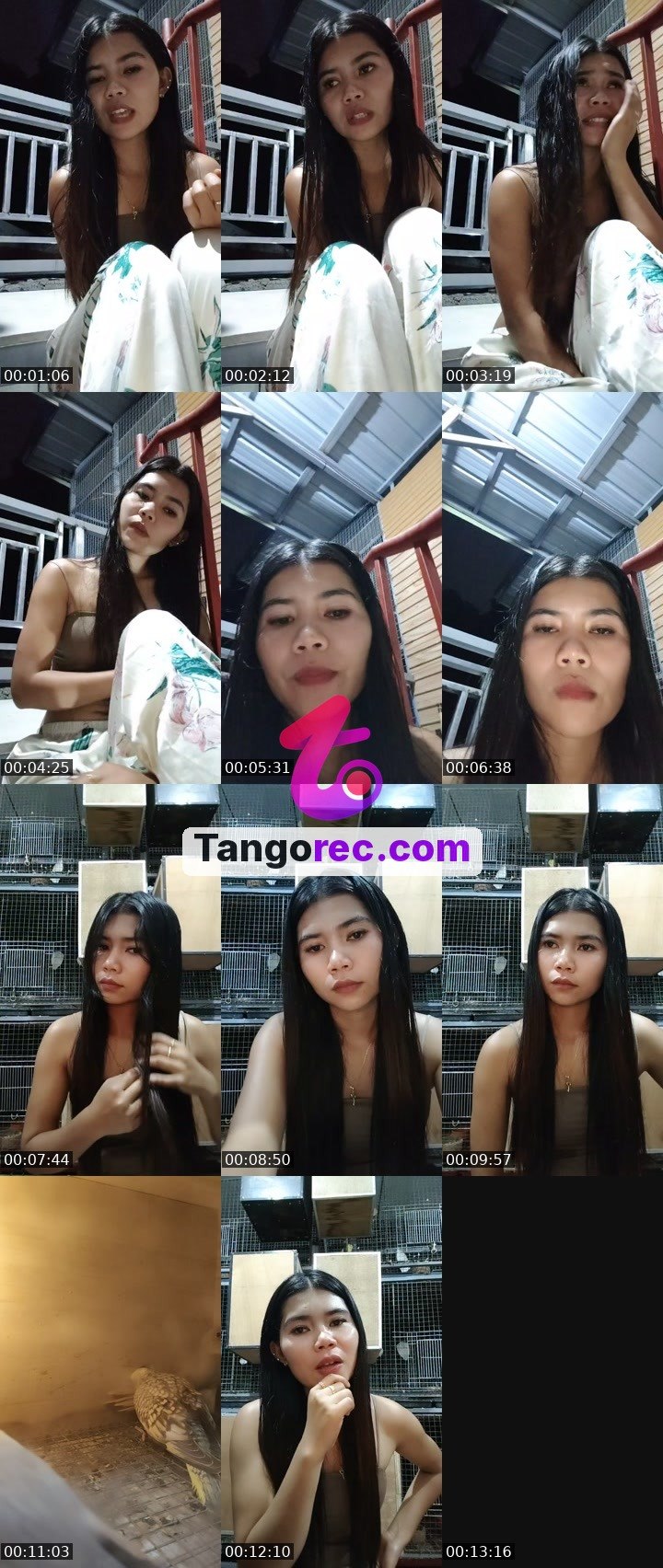 @maia405 Tango live from 2026-09-25