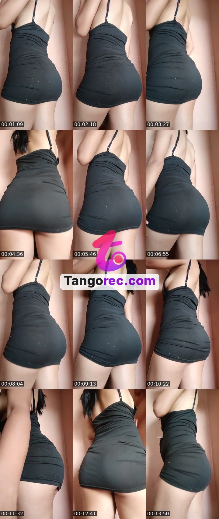 @shogundog-129530 Tango live from 2026-09-25