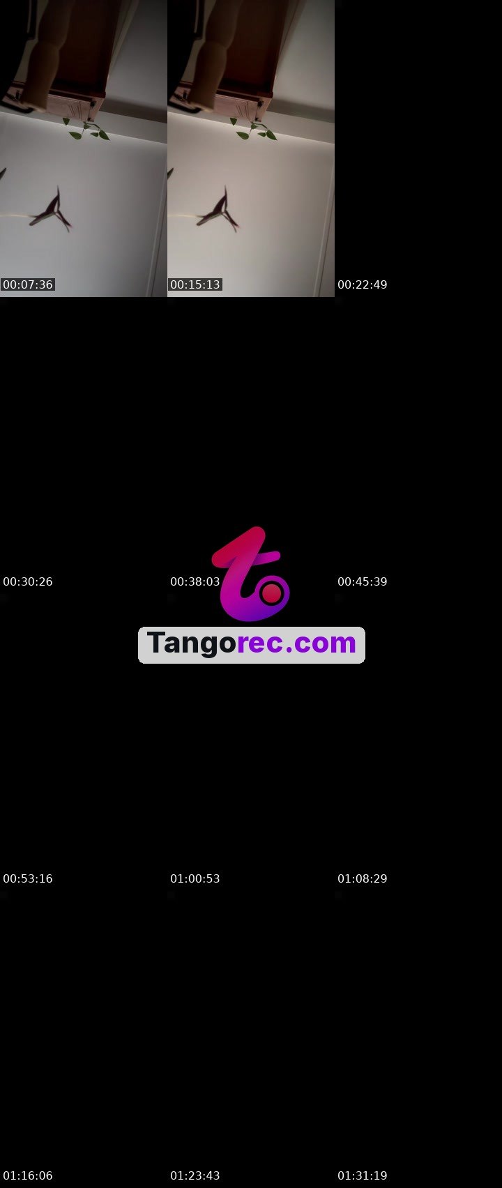 @im_her01 Tango LIVE