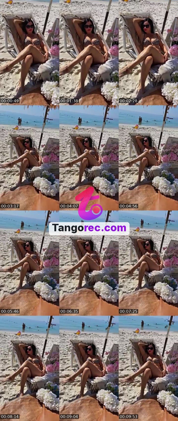 @alexandrao4o4 Tango live from 2026-09-25