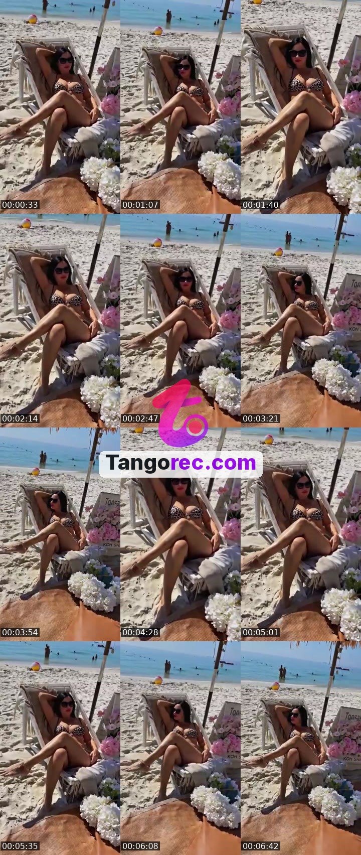 @alexandrao4o4 Tango live from 2026-09-25