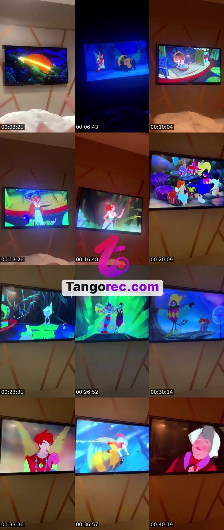 @6signalforlove9 Tango live from 2026-09-25