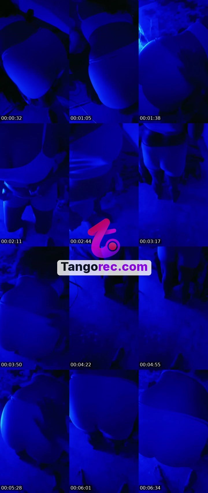 @fancy-boar-599182 Tango live from 2026-09-25