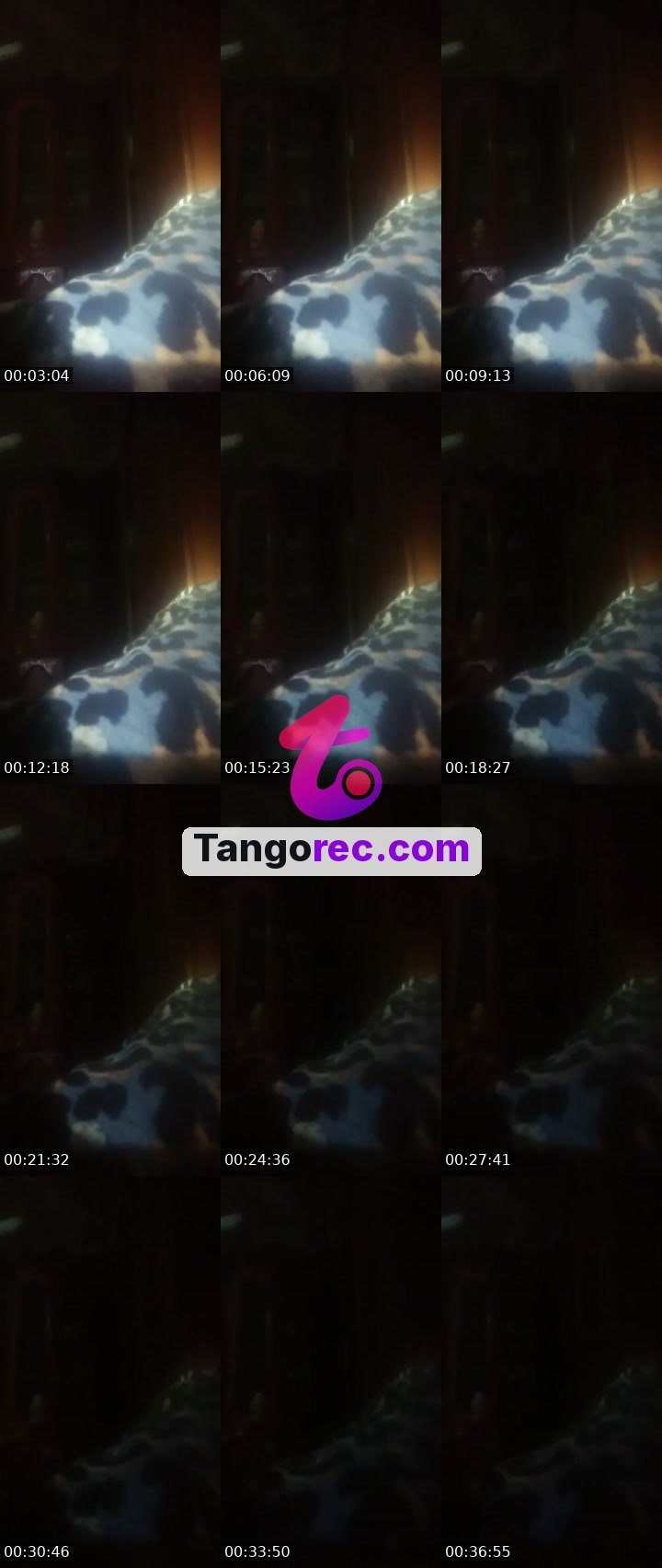 @futuristic-squirrel-239327 Tango live from 2026-09-25