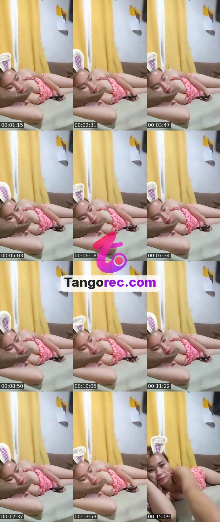 @nice-koala-19366 Tango live from 2026-09-25