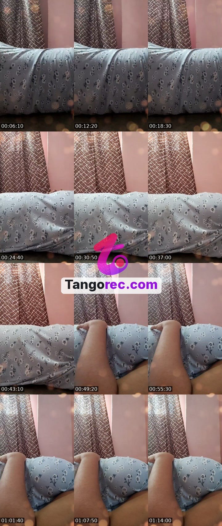 @mallugirl0 Tango live from 2026-09-25