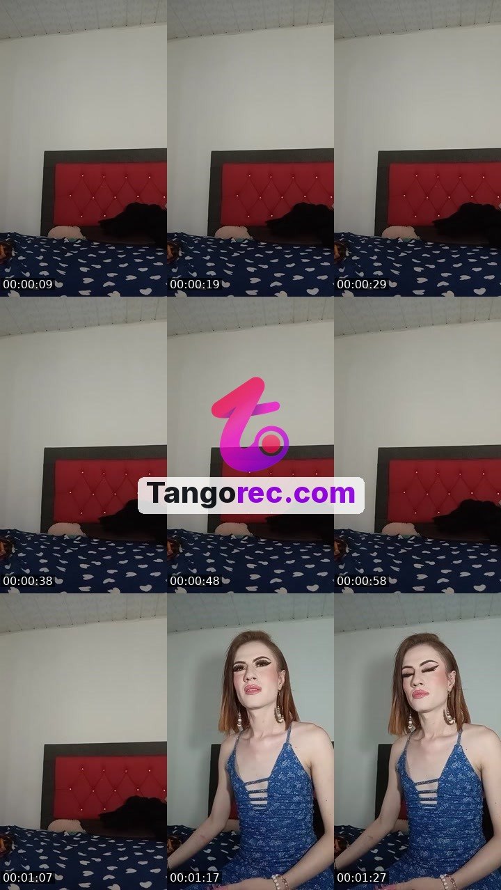 @zen-elephant-230768 Tango live from 2026-09-26