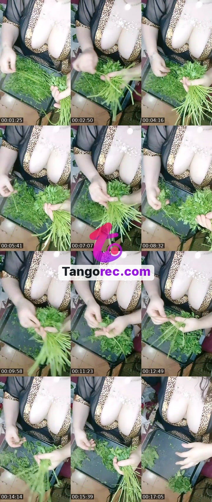 @mimo321 Tango live from 2026-09-26