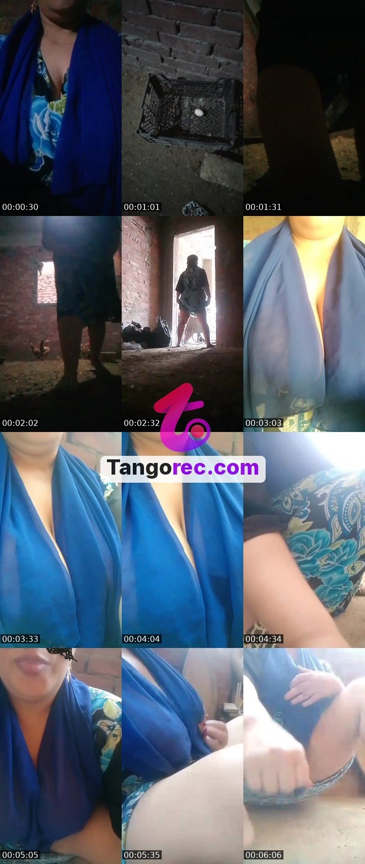 @chill-wolf-239506 Tango live from 2026-09-26