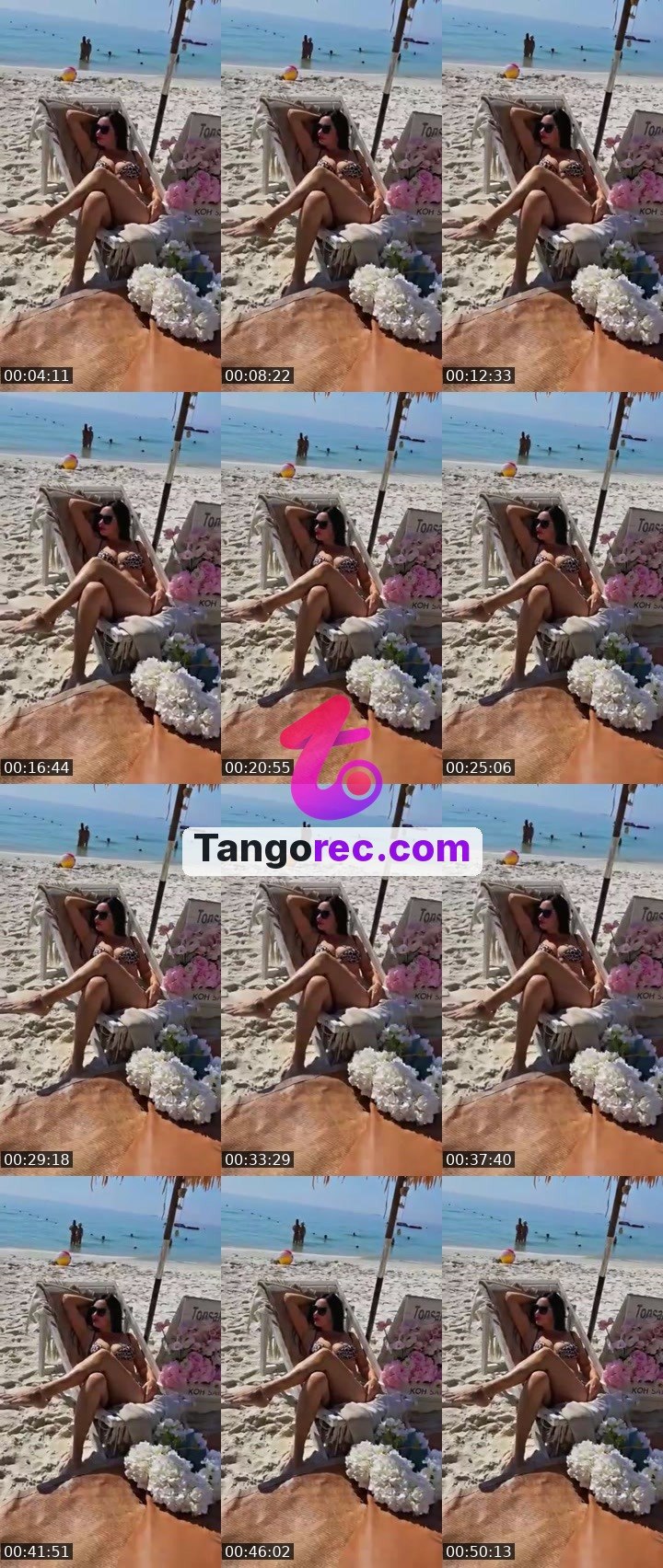 @alexandrao4o4 Tango live from 2026-09-26
