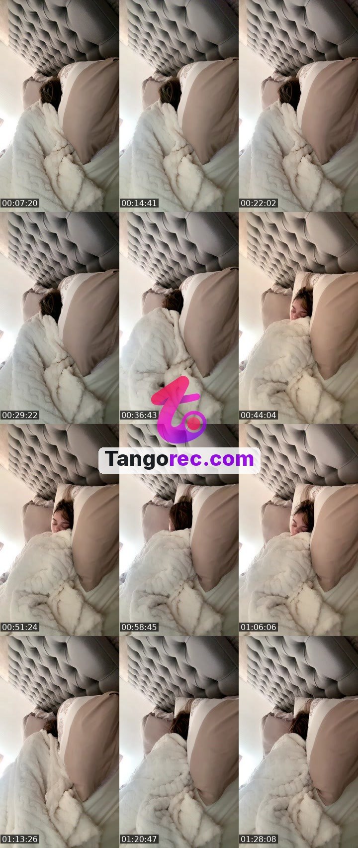 @zenelephant-48974 Tango live from 2026-09-26