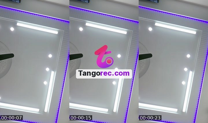 @pleasant-lion-82371 Tango LIVE