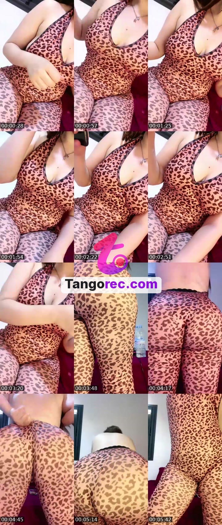 @queenfalcon6 Tango live from 2026-09-26