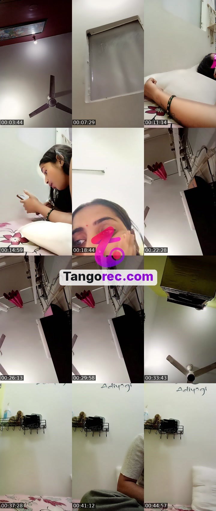@misterbadger-54270 Tango live from 2026-09-26