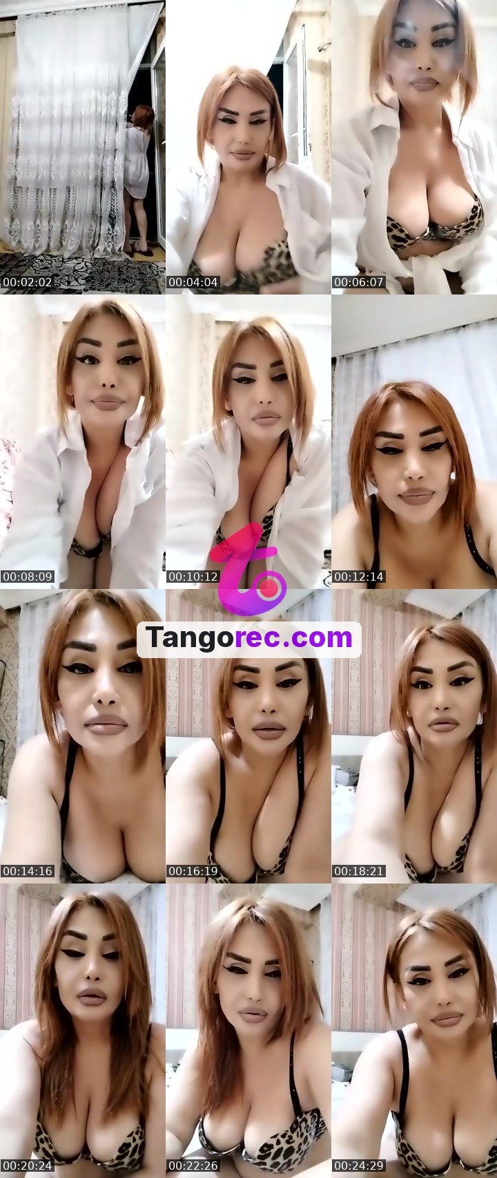 @cuteelephant-29859 Tango live from 2026-09-26