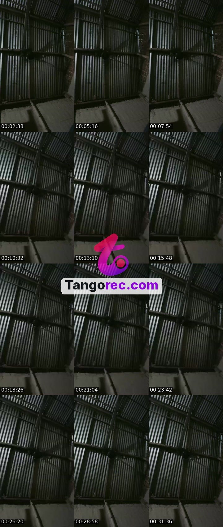 @itshmukti Tango live from 2026-09-26