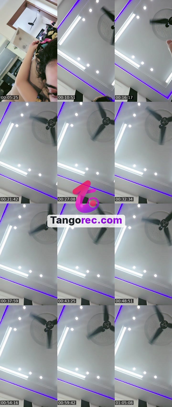 @pleasant-lion-82371 Tango LIVE