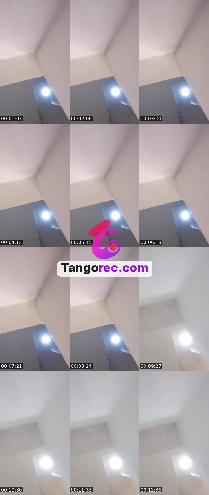 @kinglion-136575 Tango LIVE