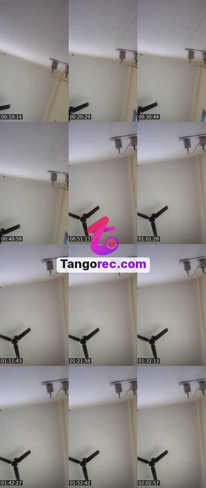 @sssosssoft Tango live from 2026-09-27