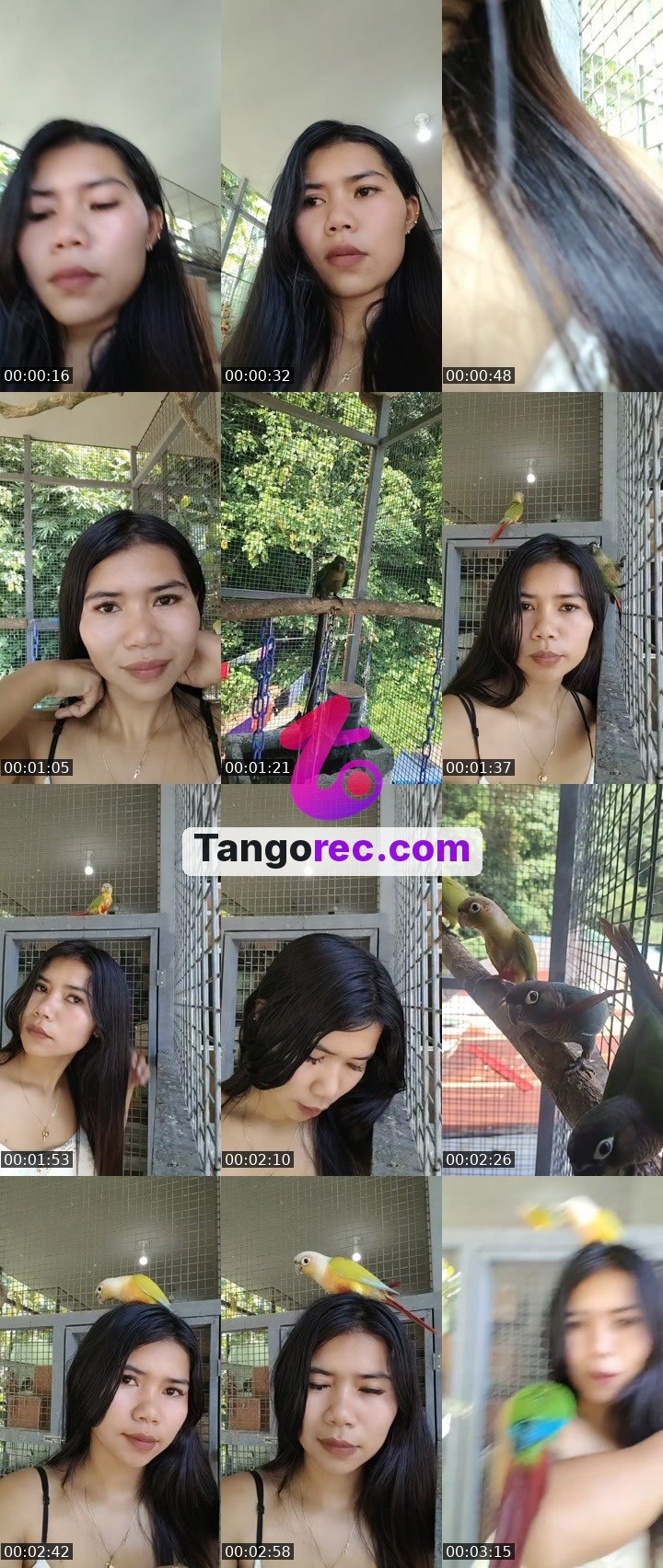 @maia405 Tango live from 2026-09-27