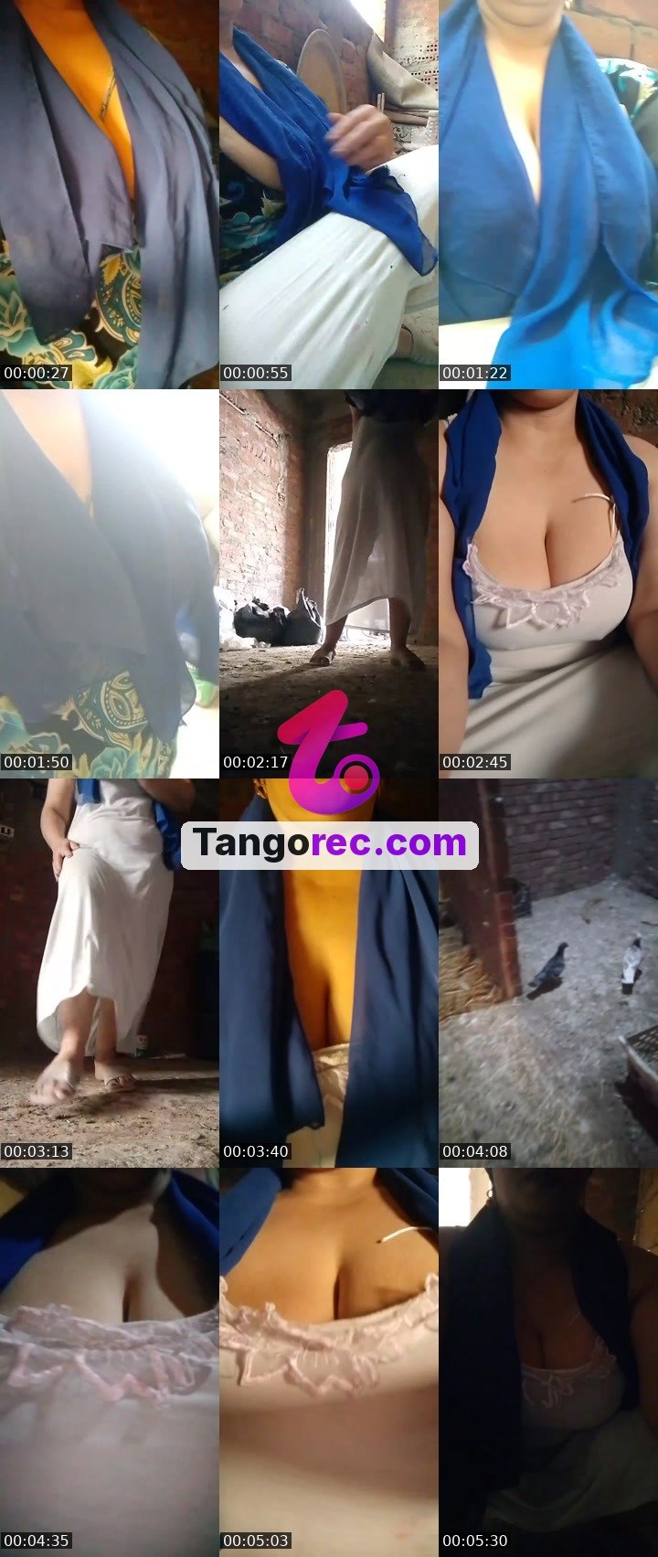 @zenelephant-259024 Tango live from 2026-09-27