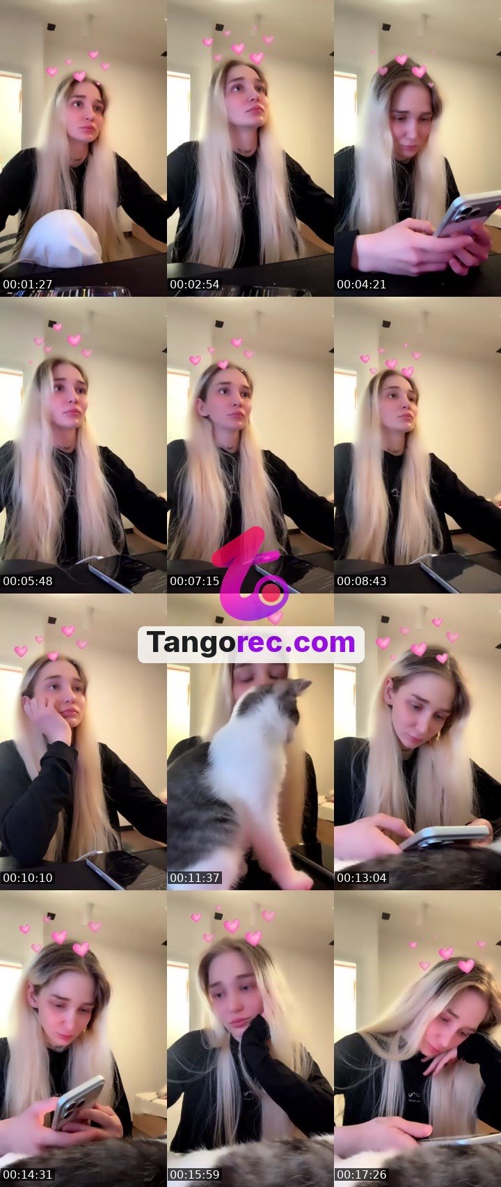 @misskiwi Tango LIVE