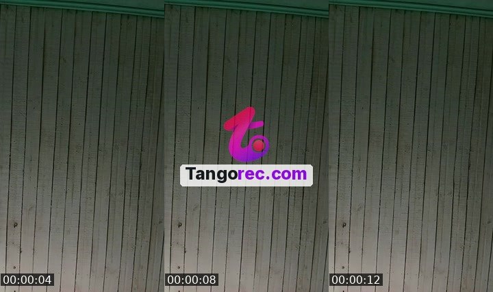 @boxingbear-163963 Tango live from 2026-09-27