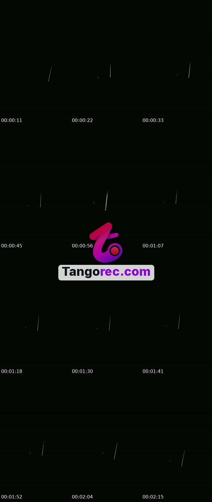 @zoz Tango LIVE