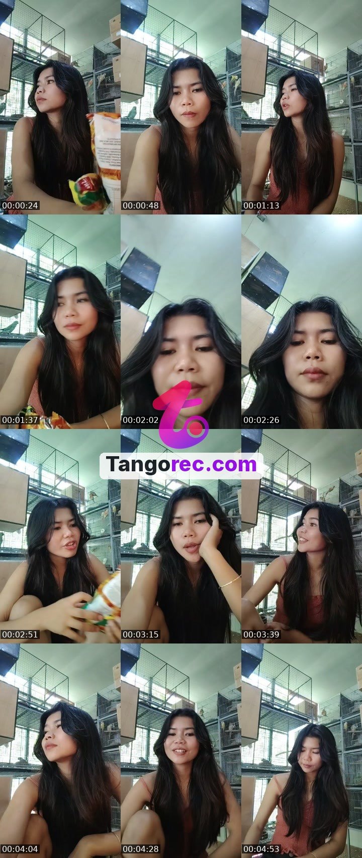 @maia405 Tango live from 2026-09-28