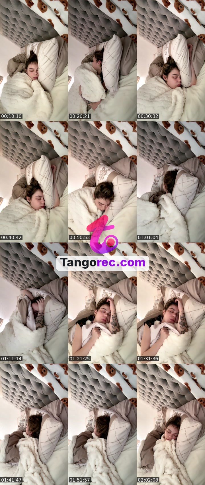 @zenelephant-48974 Tango live from 2026-09-28