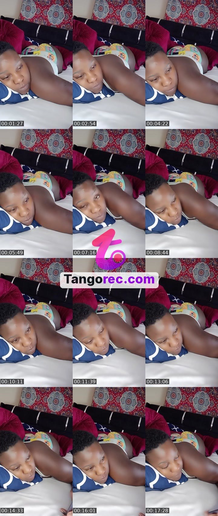 @pleasantpenguin-51426 Tango live from 2026-09-28