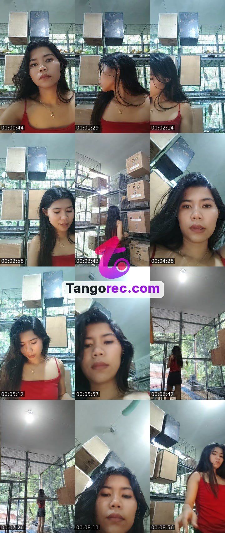 @maia405 Tango live from 2026-09-28