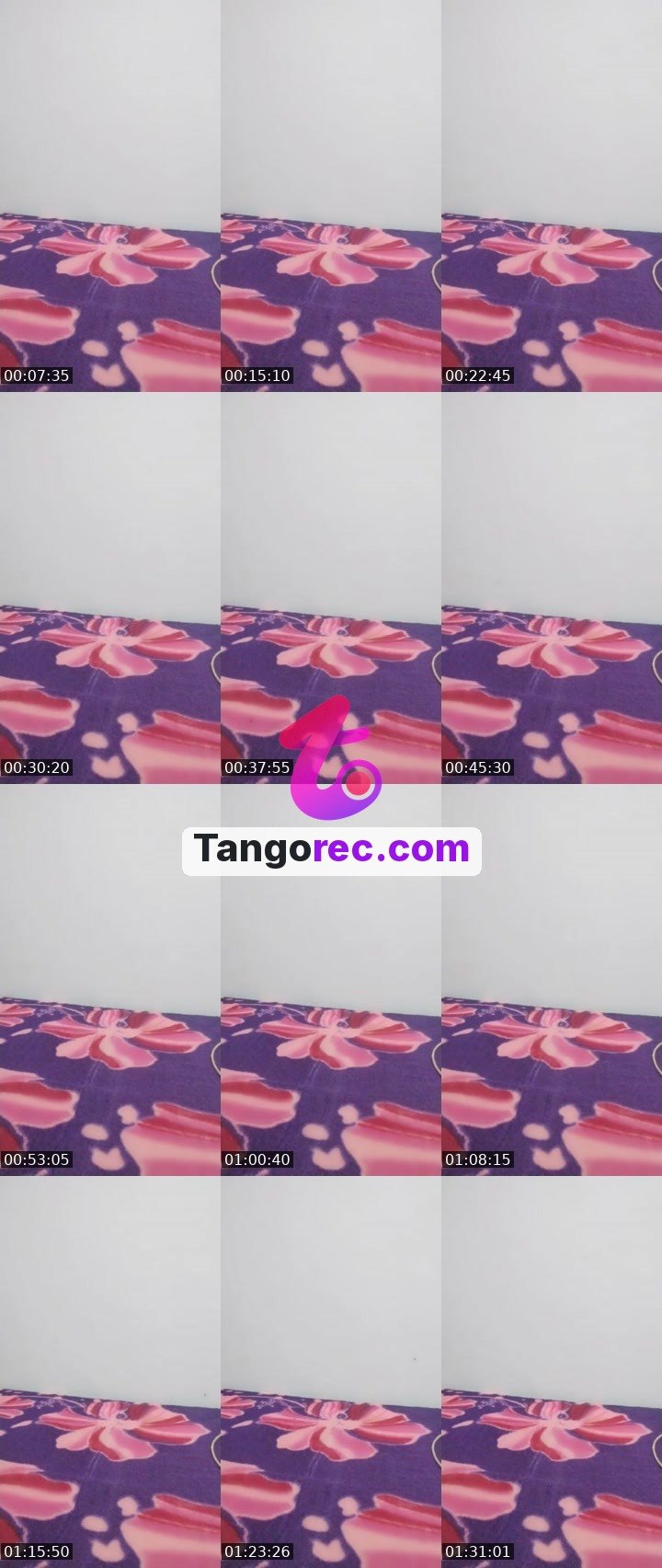 @dancing-squirrel-32645 Tango LIVE