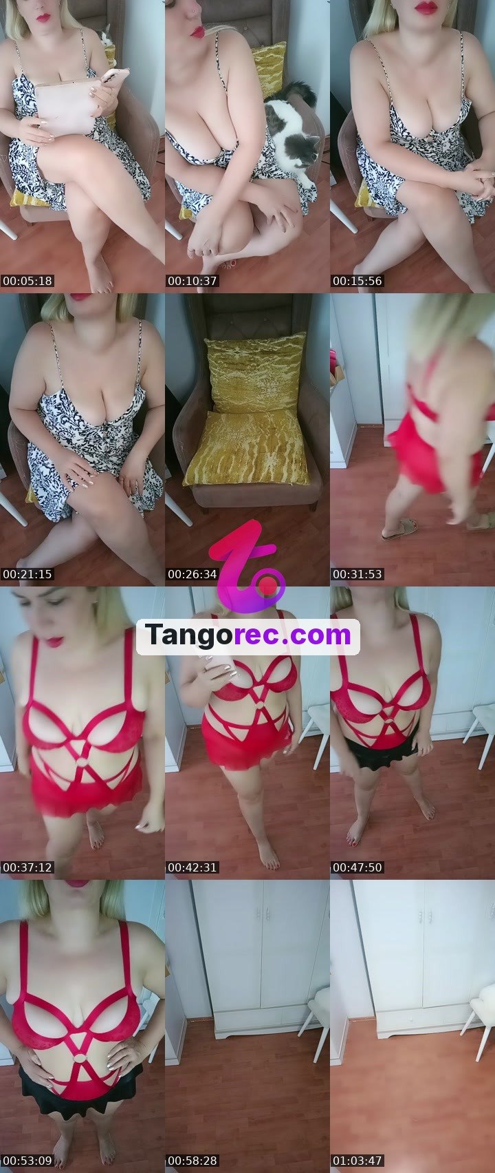 @cuddlymonkey-10922 Tango live from 2026-09-28